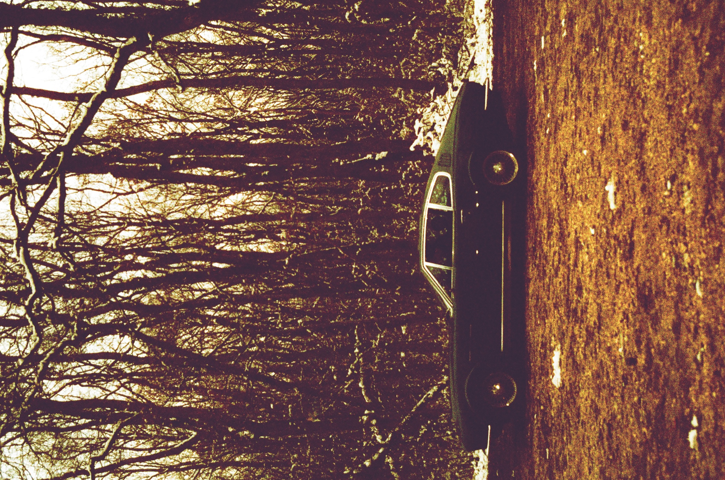 Classic Sunday image 3