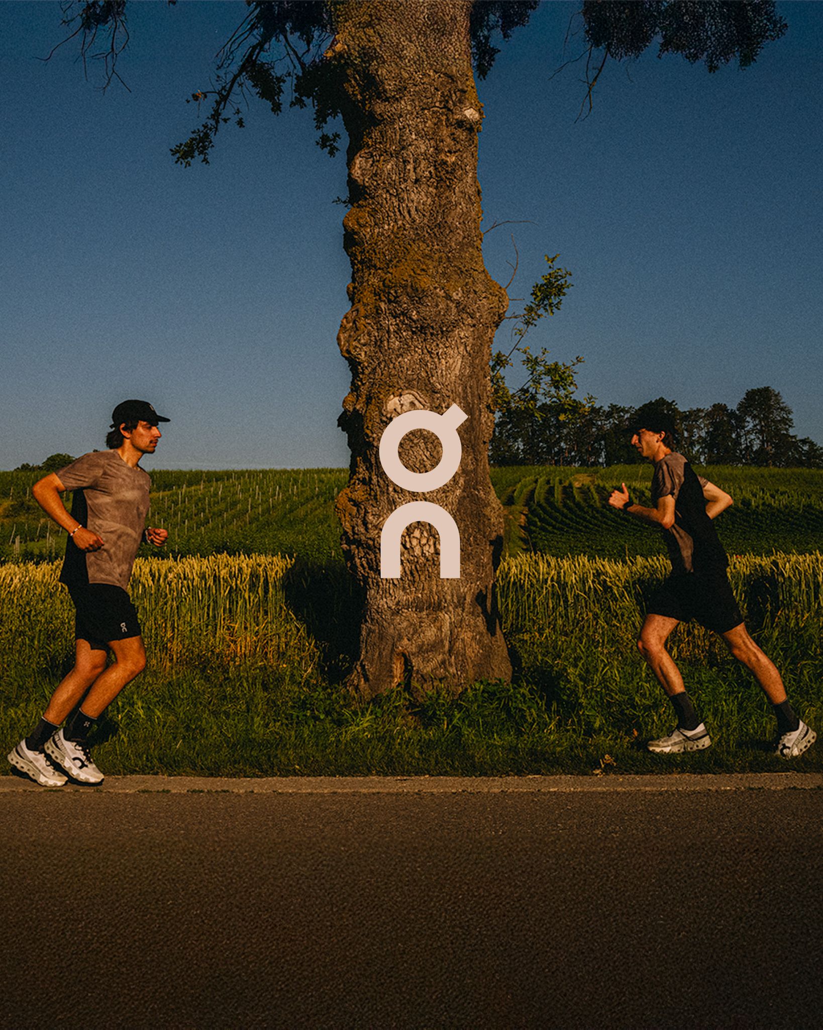 NSF Running Project cover image