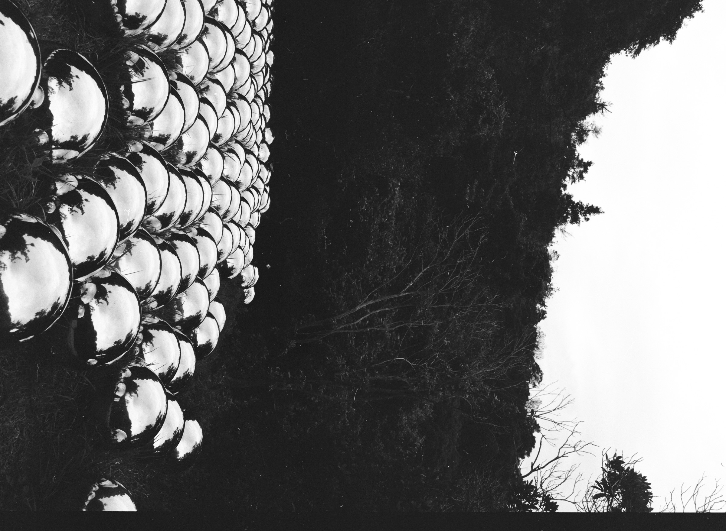 Seethelines cover image