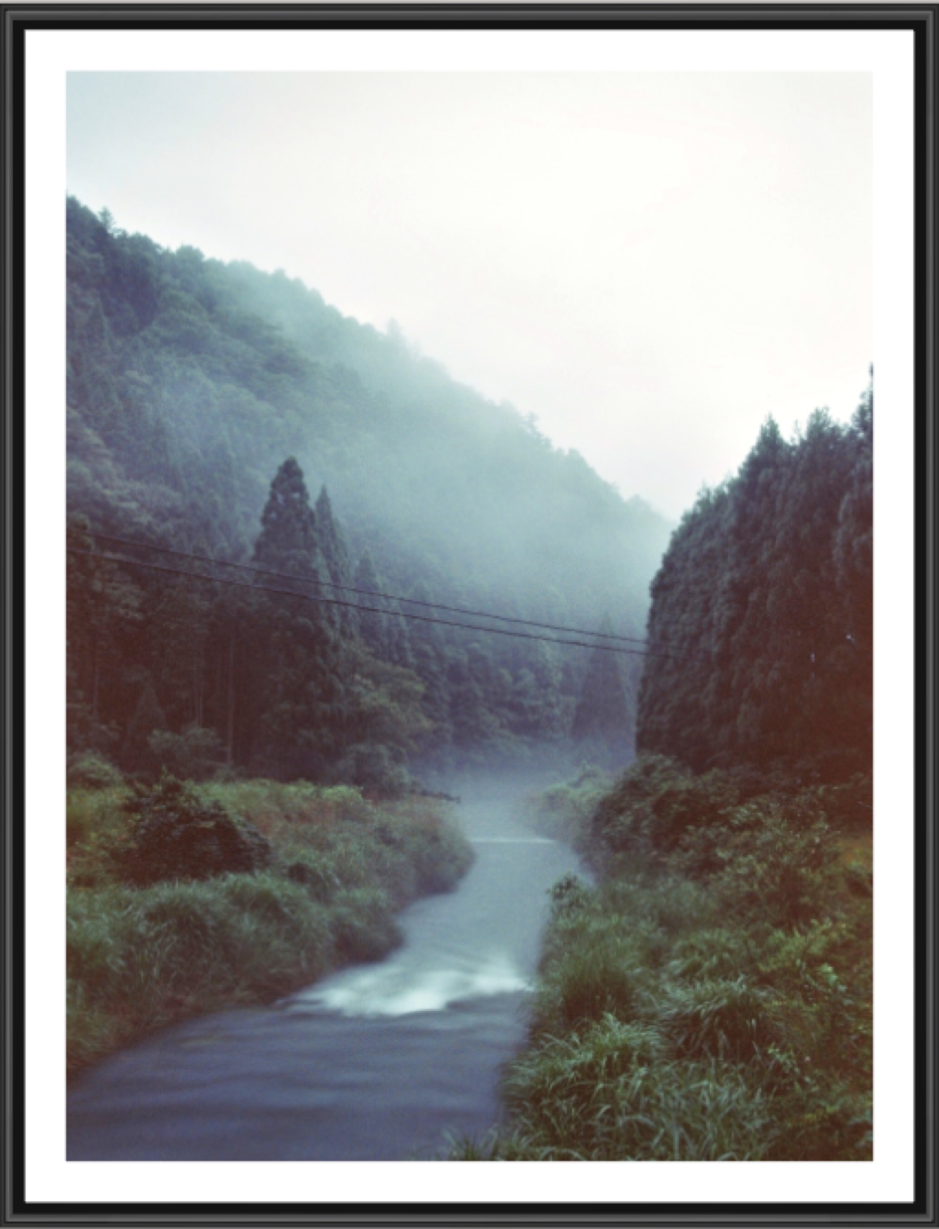 Thank You Light image 11