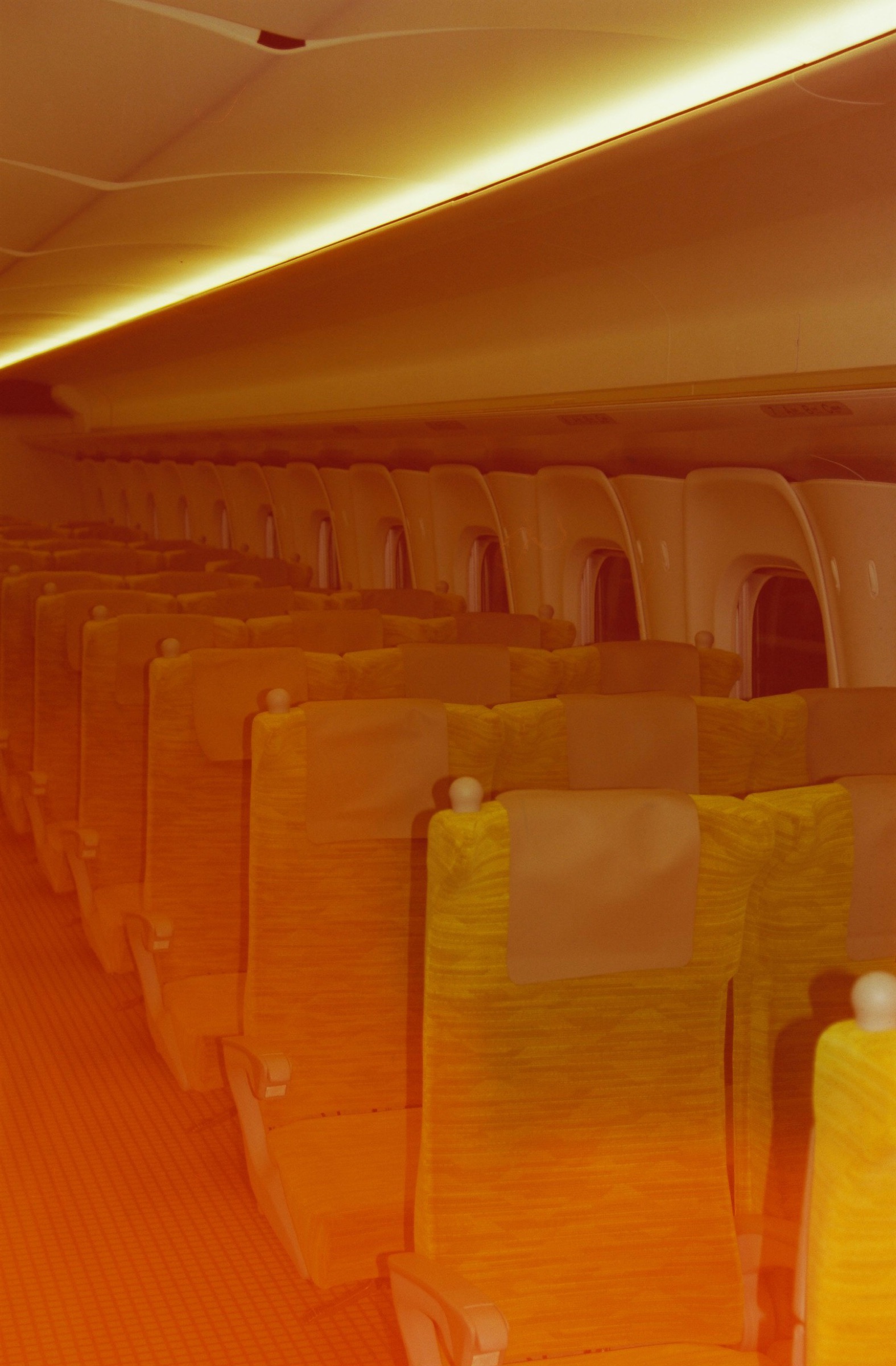 Thank You Light image 16