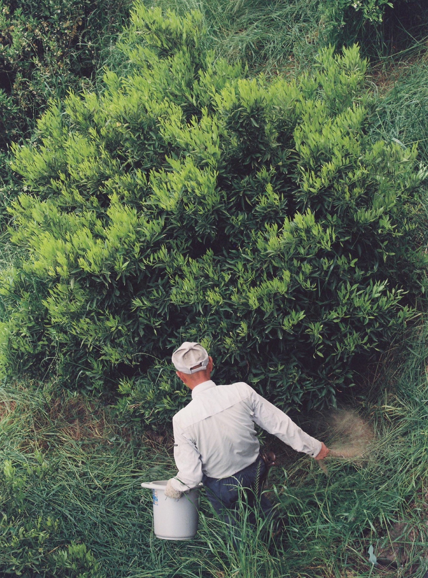 Thank You Light image 25